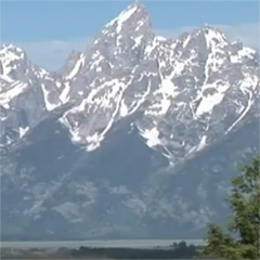 ラブ・フィットネス